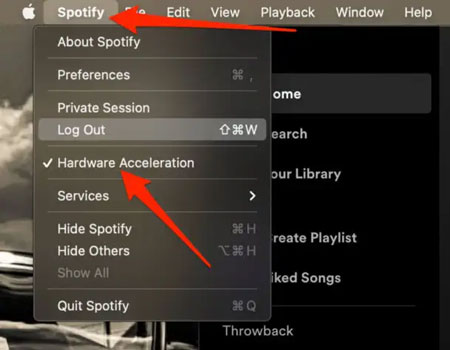 spotify hardware acceleration mac