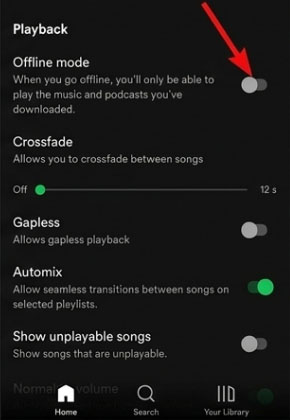 turn on spotify offline mode under playback