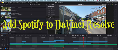 spotify to davinci resolve