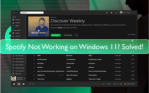 spotify windows 11 not working