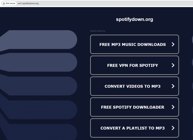 spotidown redirect