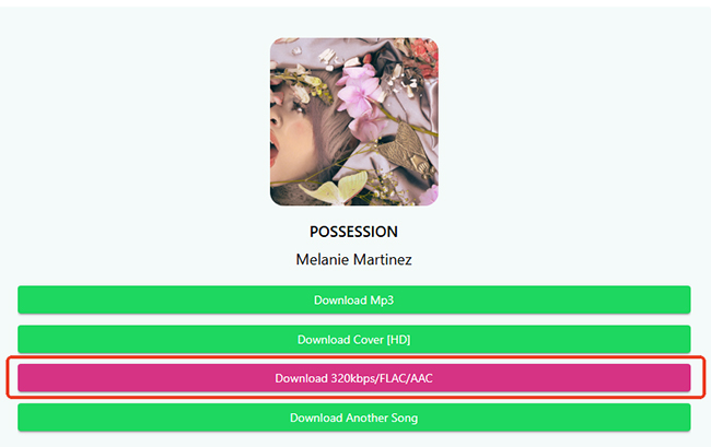 spotifymate new download option