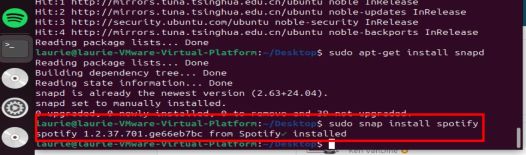 install spotify on linux via common line via snap