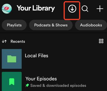 view downloaded songs in spotify x
