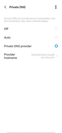 tap private dns provider on phone