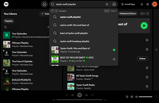 test search in spotify web player