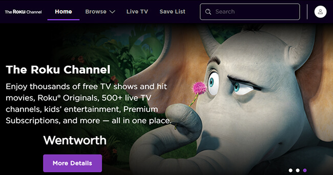 the roku channel