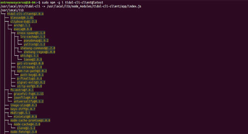 install tidal cli client app on linux