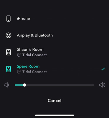 connect tidal to enabled speaker