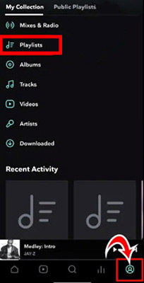 tidal my collection