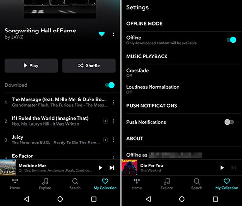 turn on tidal offline mode
