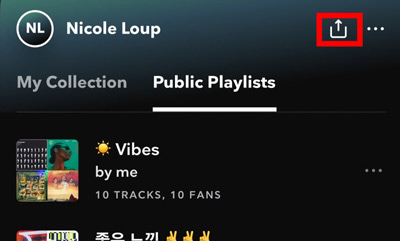 tidal share profile