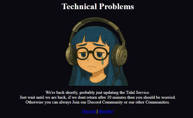 tidal squid wtf tidal downloader online not working