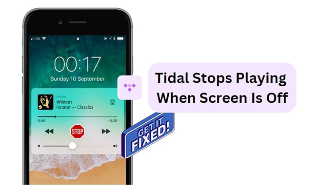 tidal stops playing